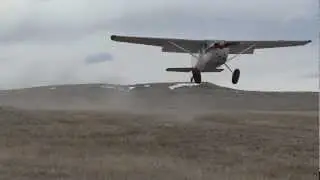Cessna 180 landing short in windy conditions.