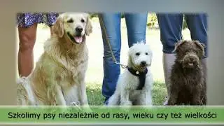 Tresura ps&oacute;w nauka warowania Mińsk Mazowiecki Tomasz Piotrowski