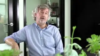 Commercial Solar Testimonials
