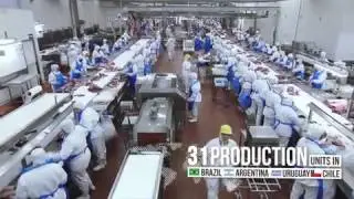 Marfrig Global Foods