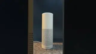 Amazon Echo mit Alexa im Test