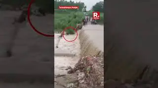 Punjab Flood Horror: Two Swept Away While Crossing Flooded Road in Hoshiarpur