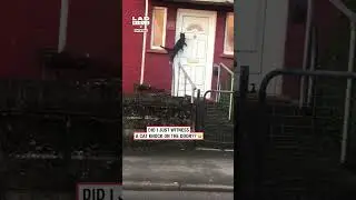 Did I just see a cat knock on the door??? 🤣 (🎥: CONTENTbible)