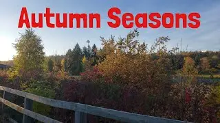 Autumn Sunrise @ Rundle Park  Edmonton,Alberta