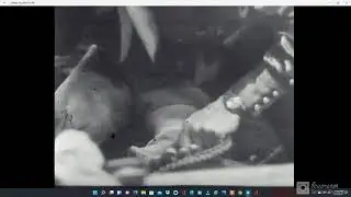 Ultimate Bull Riding 1939