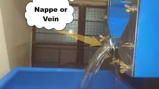 Calibration of V-Notch | Practical | Fluid Mechanics
