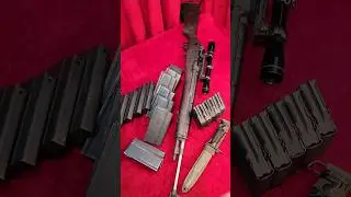 Springfield M1a