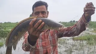 Snakehead fishing techniques Amjad Khan Fishing 🎣 👌 fishing videos 
