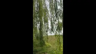 #MeditationMinute