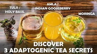 3 Natural Teas To Relieve Stress, Anxiety and Depression l Tulsi / Moringa / Amla