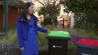 A Guide To Bin Sizes