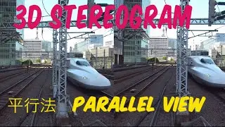 STEREOGRAM (Parallel View 3D) | 平行法☆ステレオグラム | P01 STEREOSCOPIC