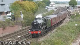 45596 