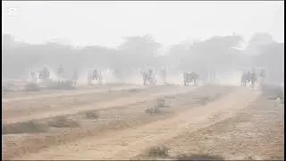 11/01/2026آل پاکستان اوپن بیل گاڑی ریس گروانڈ 40 گ ب ستیانہ والا مکمل ریس 