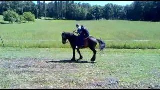 26072009002