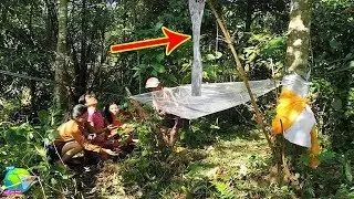 Warga Tabanan Bali Heboh! Pohon Rambutan Mengeluarkan Sumber Air Berbau Wangi...