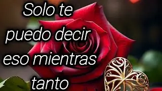 Solo te puedo decir eso mientras tanto