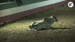 XXX Copa Garza de Oro / Ronda 2 - Abel Domingo Gonzalez Turno 119