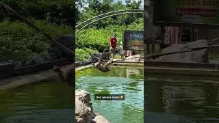 Affenberg und Mittagessen auf der Burg Landskron, K&auml;rnten, &Ouml;sterreich mit Sound