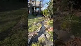 A LONG Waterfall & Stream | #shorts