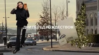 ДНИ ПЕРЕД РОЖДЕСТВОМ 
