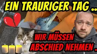 lotta muss gehen für turbo gockel kanal