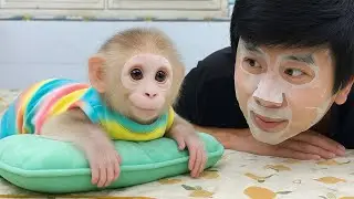 30 Days - Amazing! Monkey Molly and Mom's Husband Enjoy Mom's Exclusive Spa Service