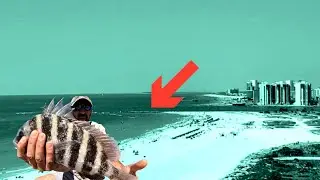THIS JETTY IS THE  BEST FOR SHEEPSHEAD FISHING!