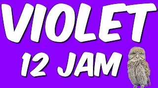 LAYAR BACKGROUND FULL VIOLET 12 JAM