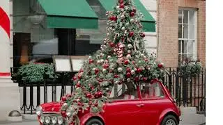 25.12.2025 La speranza è stata delusa - Omelia
