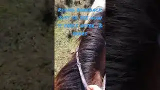 2 years of not riding bareback wow didn't know it was that long 😳
