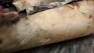 8618451613