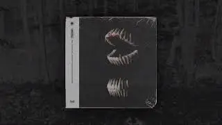 tuMaggz - DRACULA