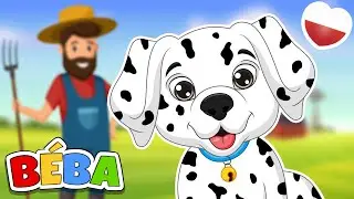 BINGO | Piosenki dla dzieci | BÉBA