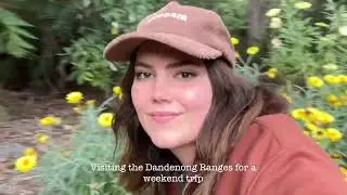 South Eastern Suburbs of Melbourne Silent Vlog - Visual Diary. Months in the life.