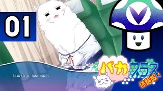 [VineClassics] Vinny - Paca Plus (part 1) + Art!