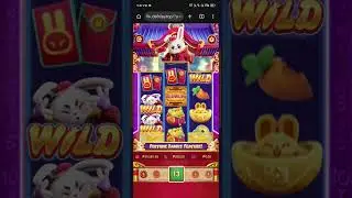 20. spins winning in fortune rabbit
