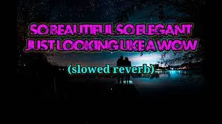 so beautiful so elegant just looking like a wow slowed reverb song lyrics lofi song