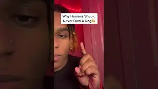 why human should never own a dog 🐕 #kurlyheadmarr #dog