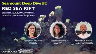 Seamount Deep Dive on the Red Sea RIft