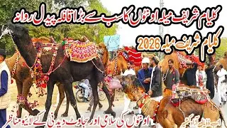 Kalyam Sharif Mela 2026 | کلیام شریف میلہ کے لیے اونٹوں کا بڑا قافلہ روانہ تیار کی مکمل ویڈیو 