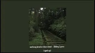 nothing breaks like a heart - Miley Cyrus (sped up)
