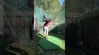 Tiger 3i Through Net #golfswing #golf #tigerclub #P7TW