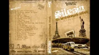 Silesia na kradzionych bitach (2006)