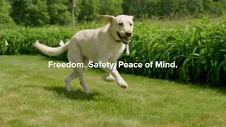 DogWatch Hidden Fences: Freedom. Safety. Peace of Mind.