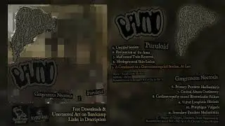 Puruloid / Gangrenous Necrosis - Split (Goregrind/Gorenoise/Noisecore - 2025) VANITY