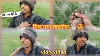 खेत में खरगोश....😍🐇 ( Vlog video ) Mini vlog video // hindi vlog video // village vlog video 