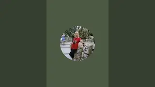 Життя-буття в Туреччині.  в прямом эфире!
