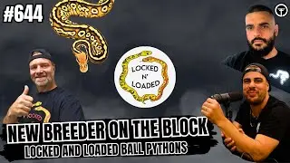 How To Stay Locked In On Your Ball Python Projects | New Breeder On The Block Live