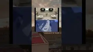 Facing Toilets(meme)
